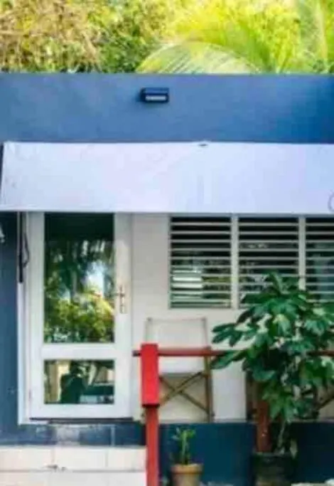 أريسيبو Dk Back Yard Surf Shack - Apartment #1